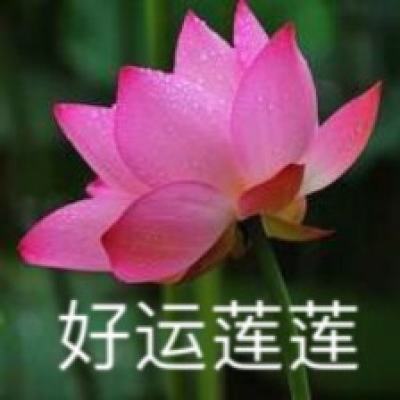 圆月谜案游戏下载